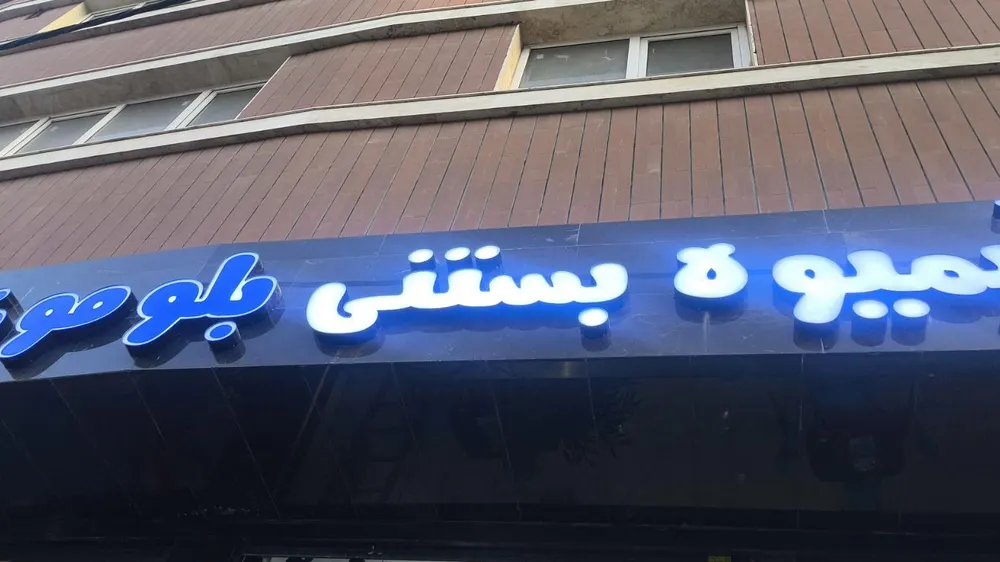 ابمیوه بستنی بلو مون — عکس 7
