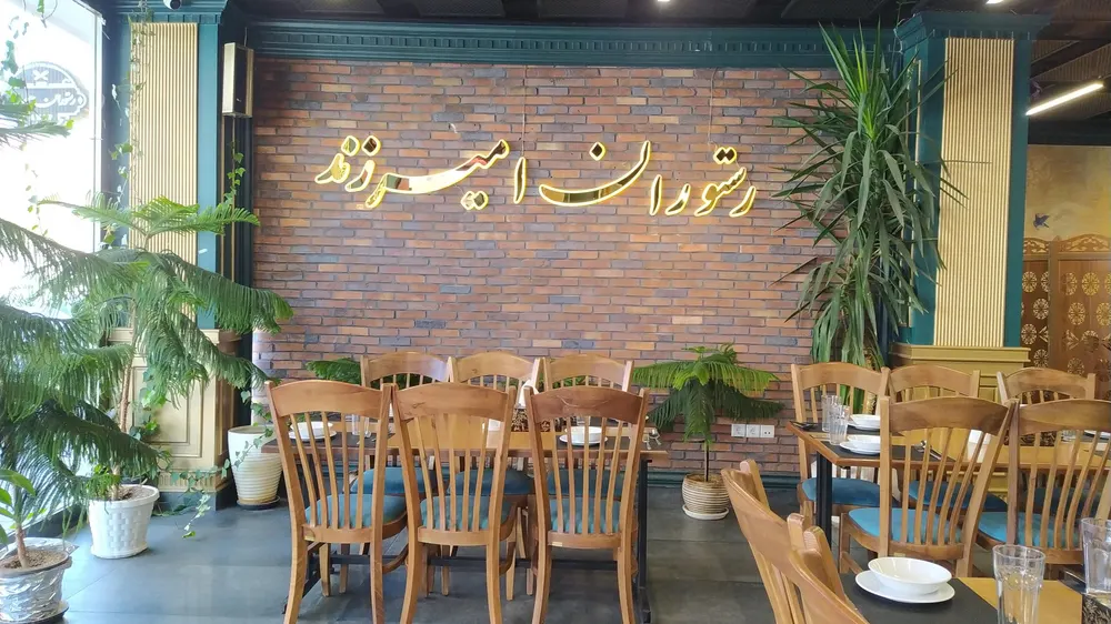 امیر زند — عکس 8