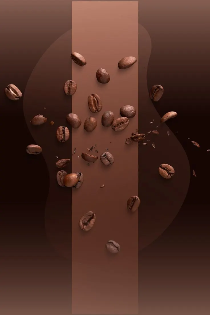نفیس کافی — عکس 3