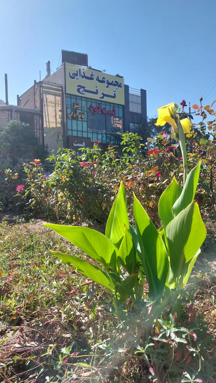 نان داغ کباب داغ ترنج — عکس 1