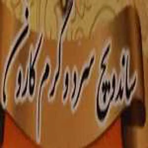 ساندویچ کارون — عکس 5