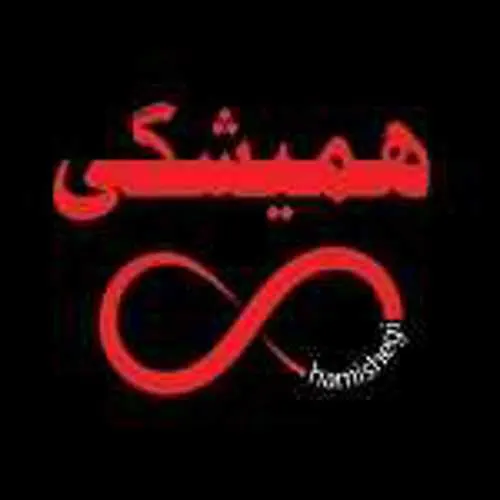 فست فود همیشگی — عکس 3
