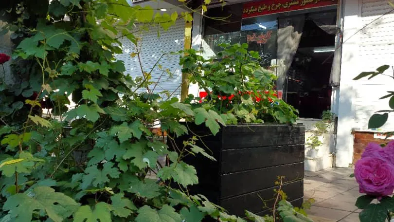 کبابی گلپایگانی تک — عکس 8