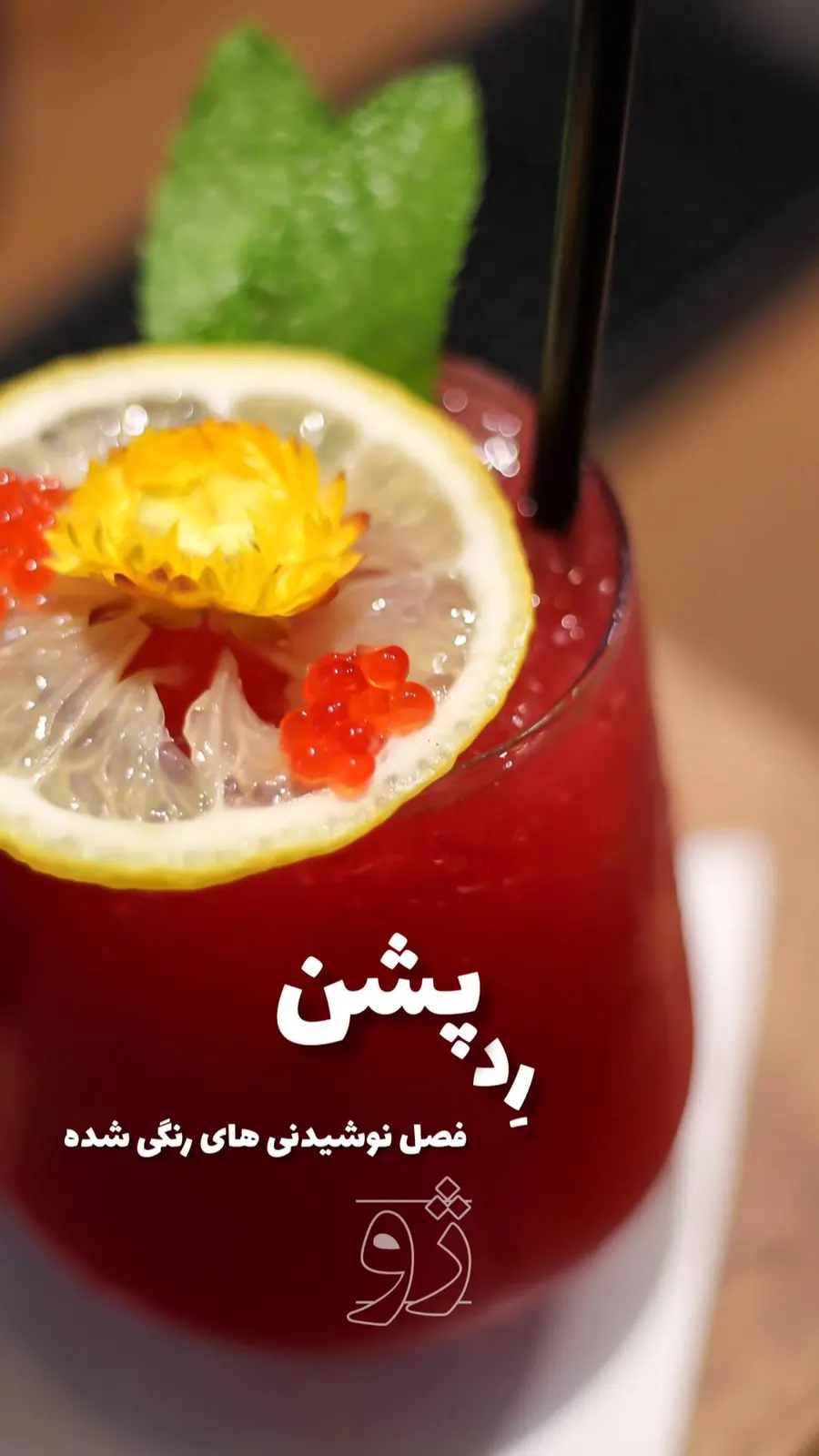 کافه ژو — عکس 2