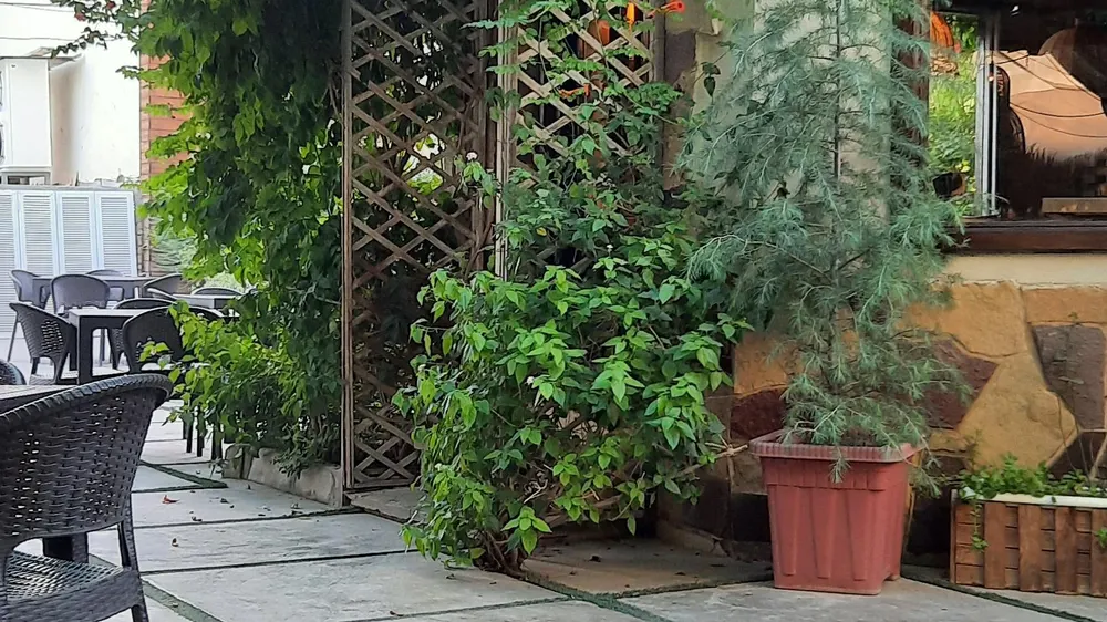 کافه رستوران ویلو — عکس 2