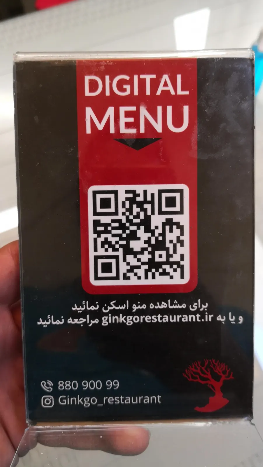 کافه رستوران الا — عکس 2
