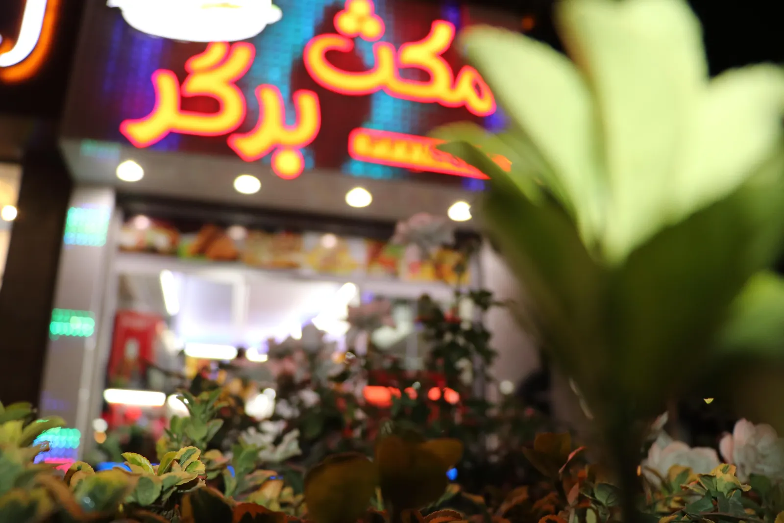 فست فود مکث برگر — عکس 1