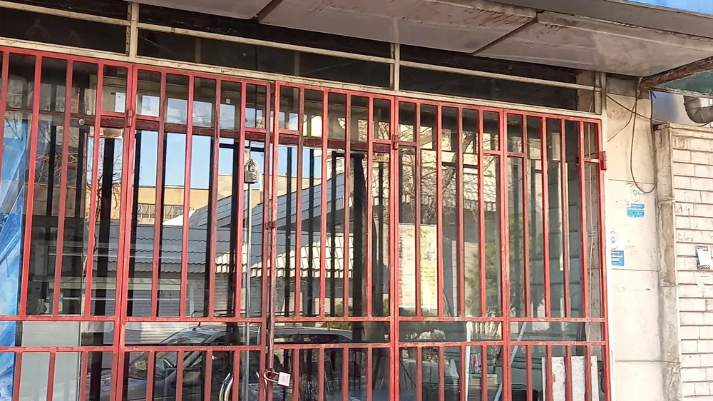 مرغ کنتاکی بزرگمهر — عکس 3