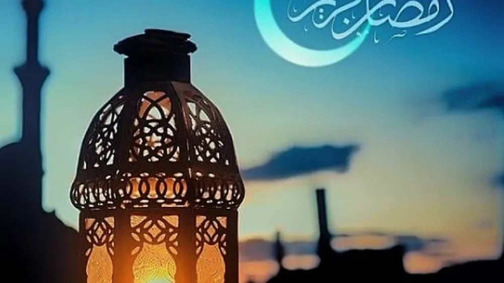 مرغ سوخاری دی — عکس 3