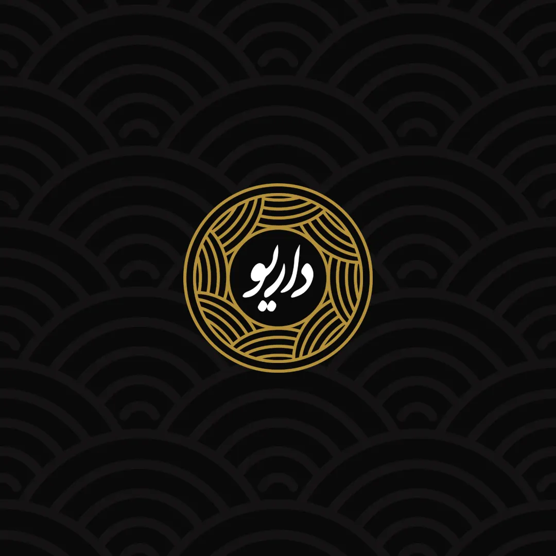 غازی کباب داریو — عکس 5
