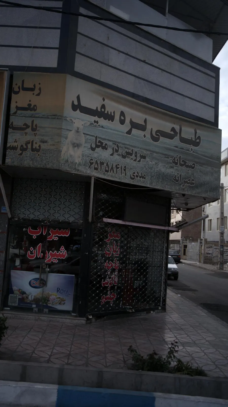 طباخی بره سفید — عکس 1