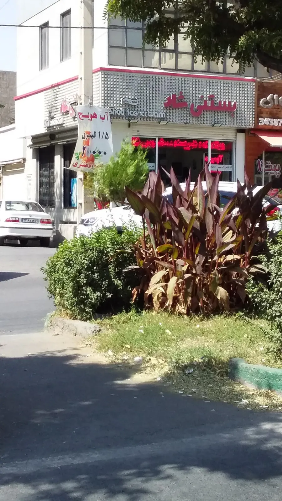 بستنی شاد — عکس 2