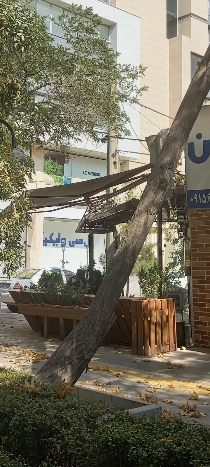 فست فود شبهای کوهسنگی — عکس 7