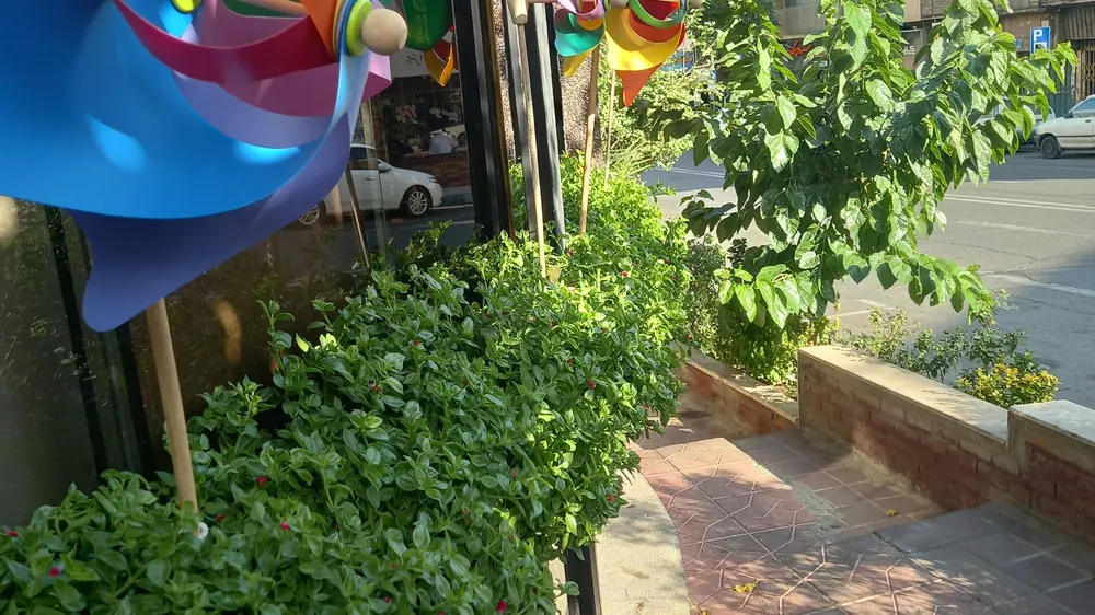 رستوران ایتالیایی کاپری — عکس 2