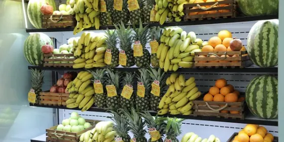 بستنی فابو — عکس 1