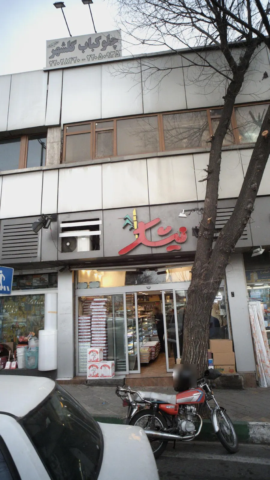 نیشکر — عکس 2