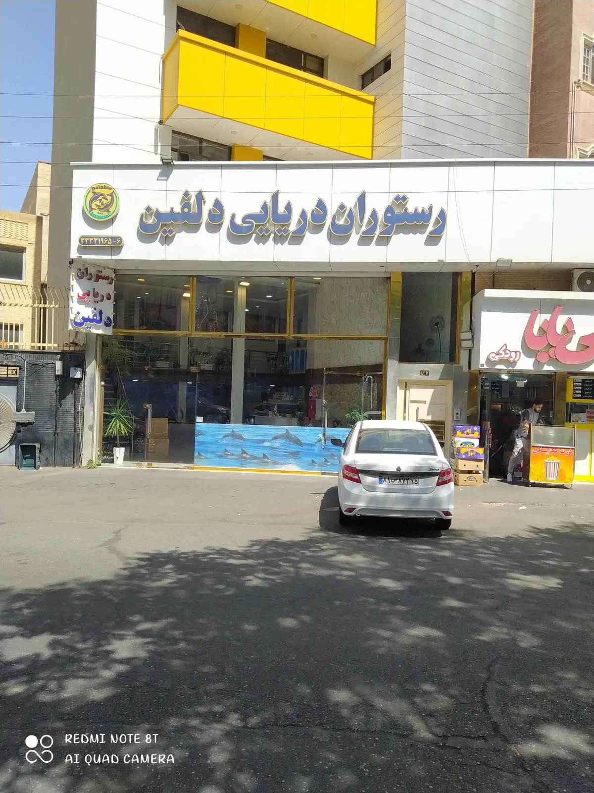 رستوران دریایی دلفین — عکس 5