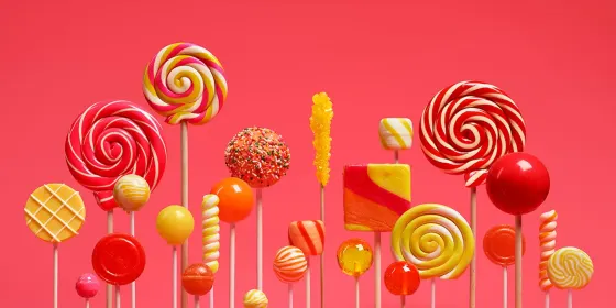 ابنبات چوبی — عکس 2