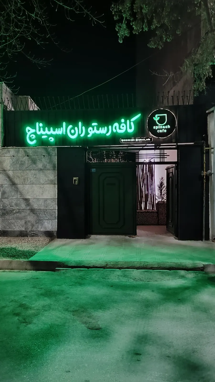 کافه رستوران اسپیناچ — عکس 5
