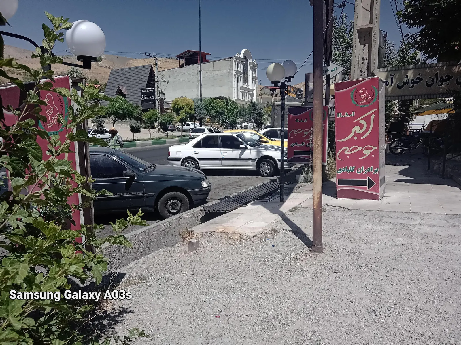 اکبر جوجه — عکس 2