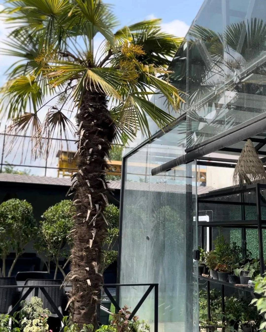 باغچه رستوران نهال — عکس 2