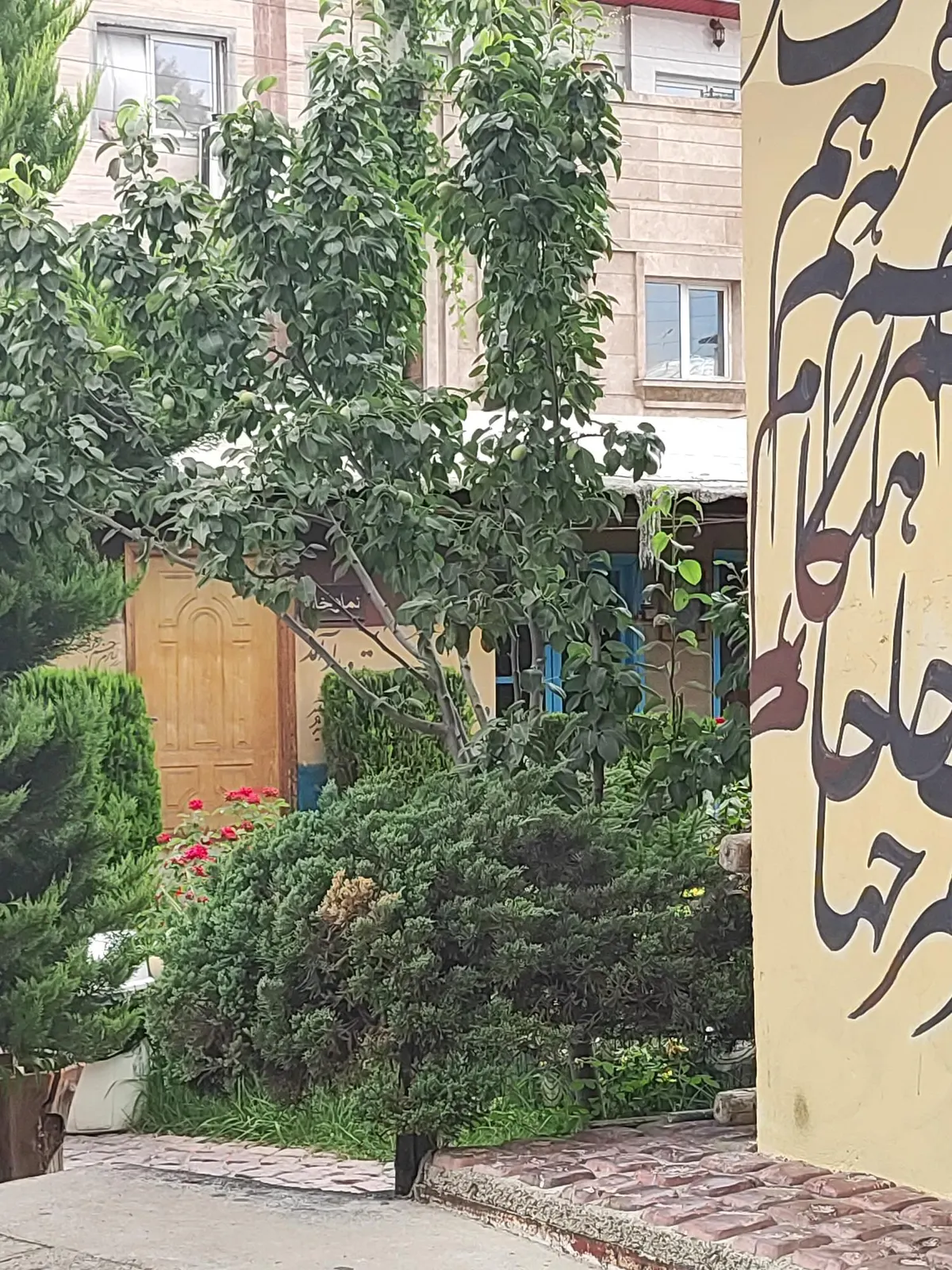 مجموعه رستورانی اوینا — عکس 1