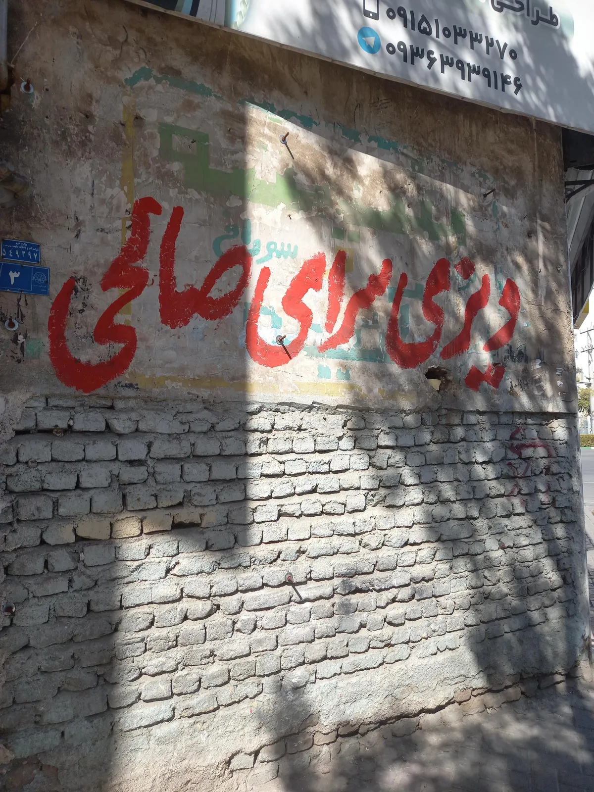 دیزی سرا صالحی — عکس 2
