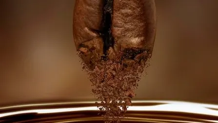 نفیس کافی — عکس 10