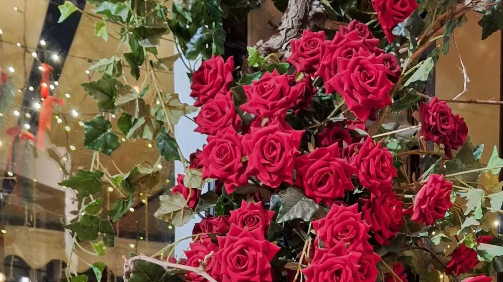 کافه رستوران نیپر — عکس 1