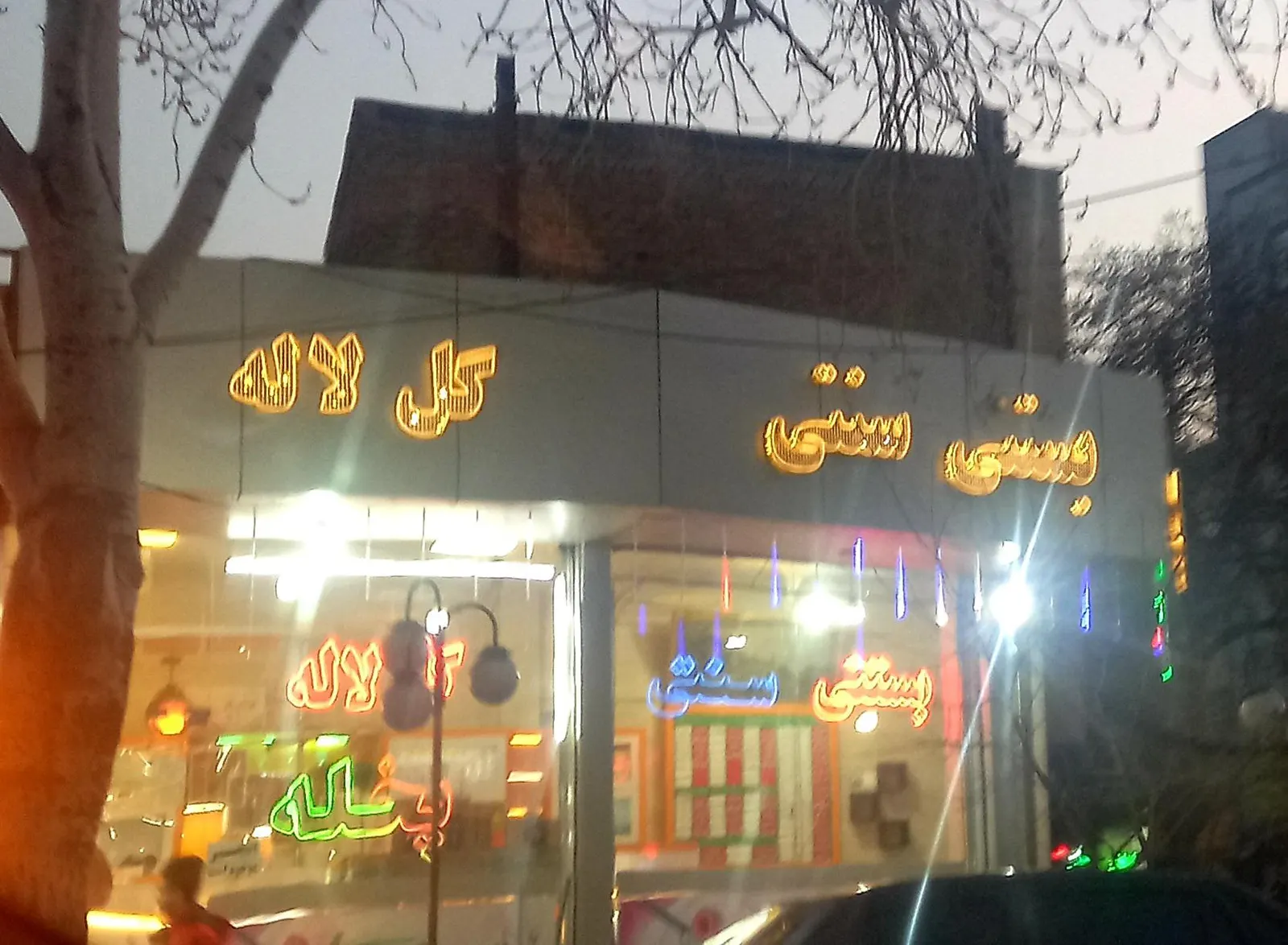 بستنی گل لاله