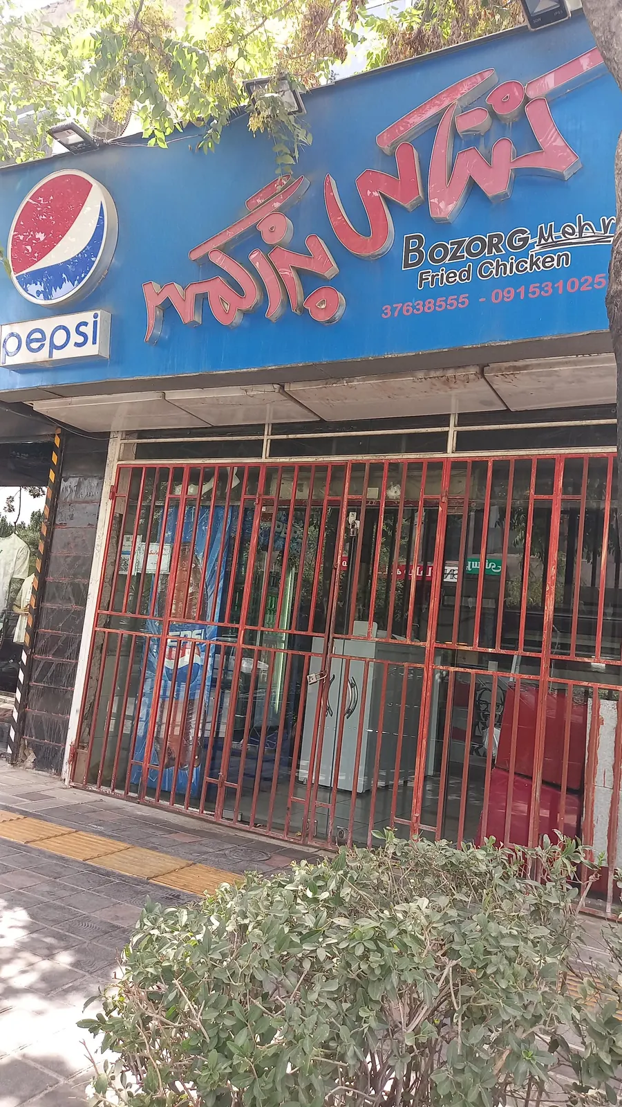مرغ کنتاکی بزرگمهر — عکس 2