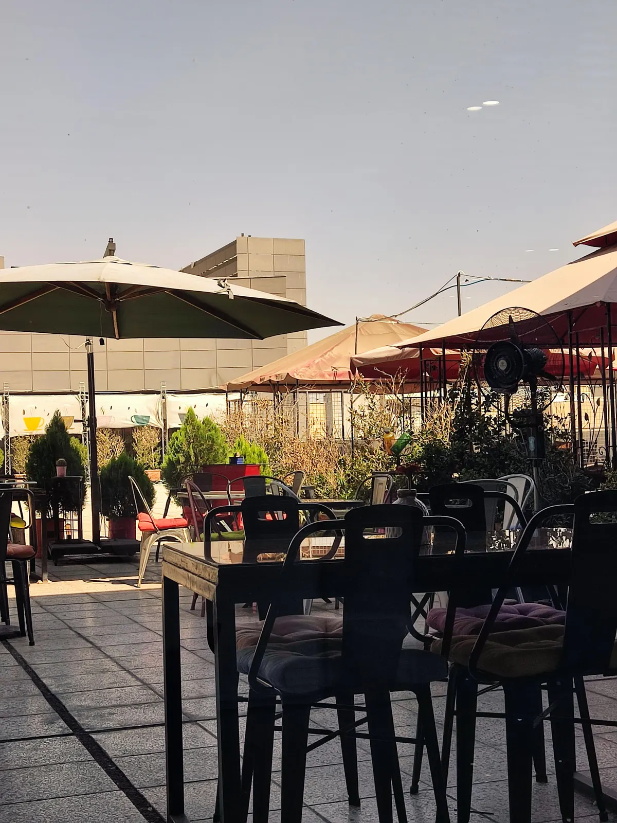 کافه نسکو — عکس 4