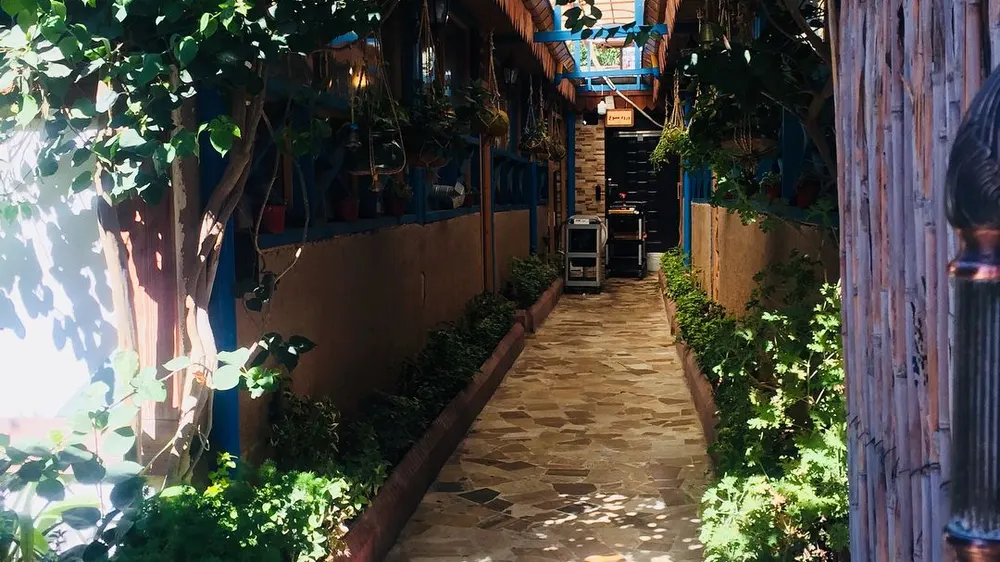رستوران محلی میرزا — عکس 8