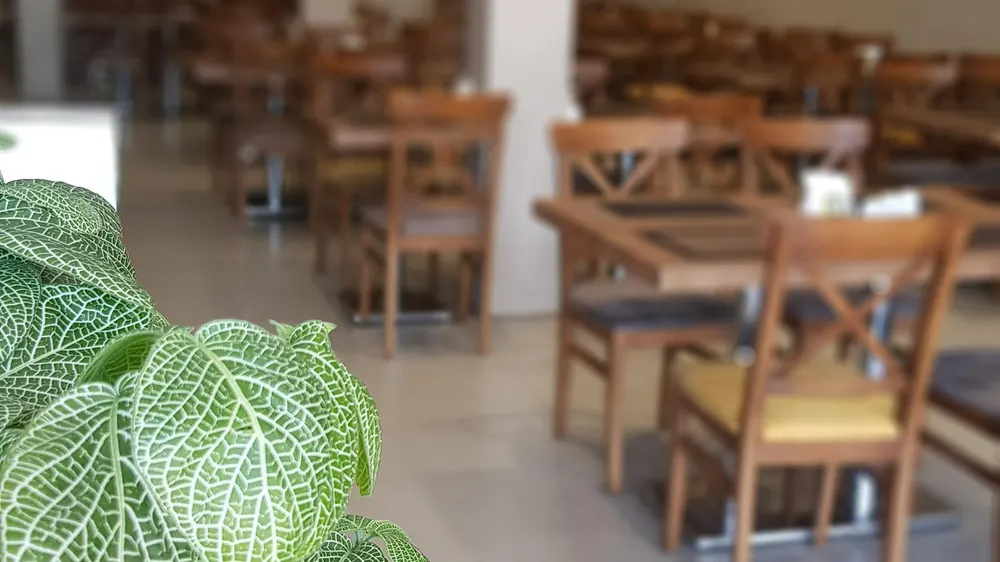 رستوران فاخته — عکس 9
