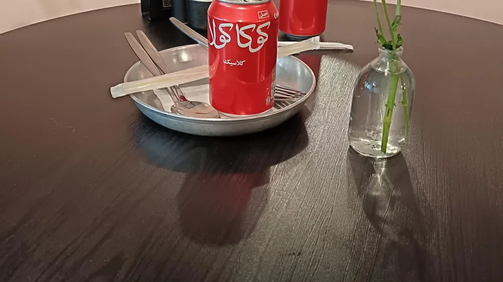 رستوران هوژان — عکس 10