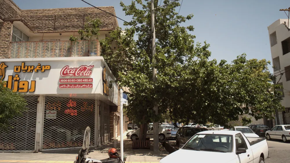 مرغ بریان روژان — عکس 2