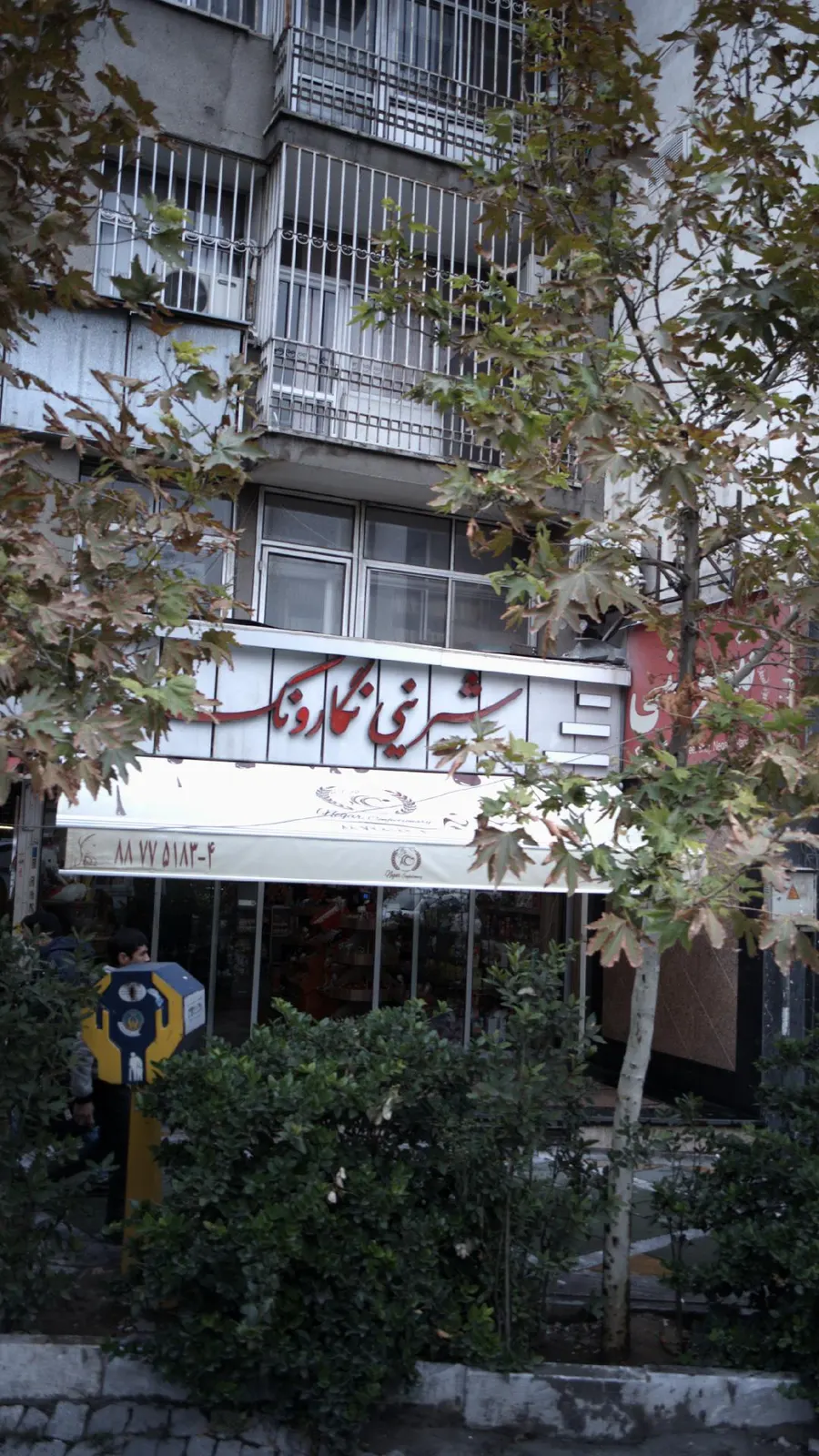 بستنی نگار ونک — عکس 6