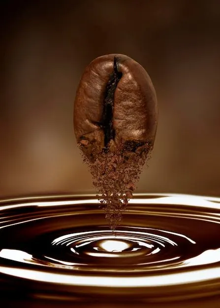 نفیس کافی — عکس 8