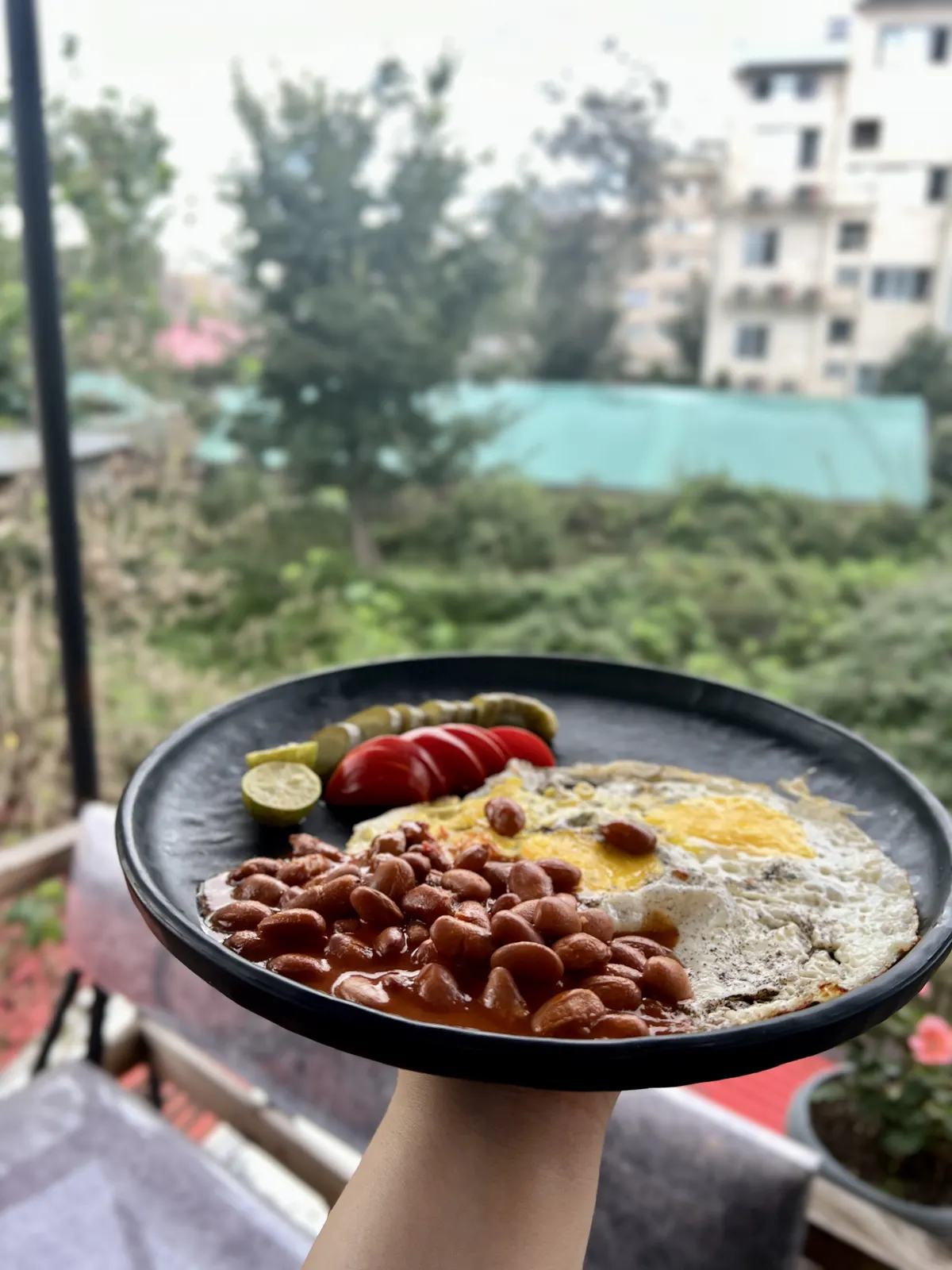 کافه تراس بلوط — عکس 6