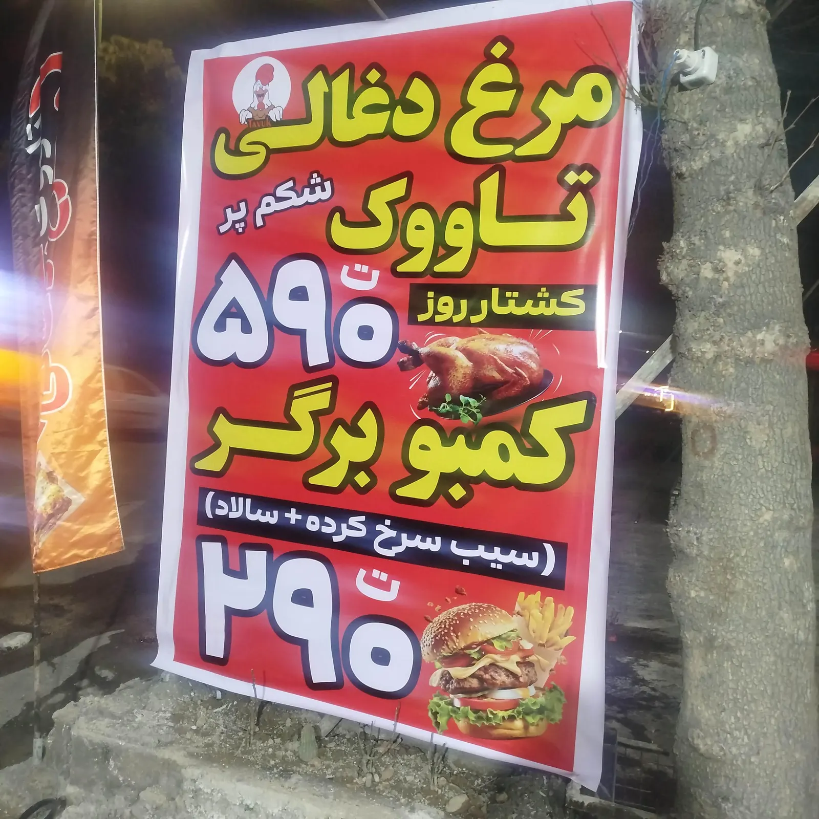 مرغ ذغالی تاووک — عکس 2
