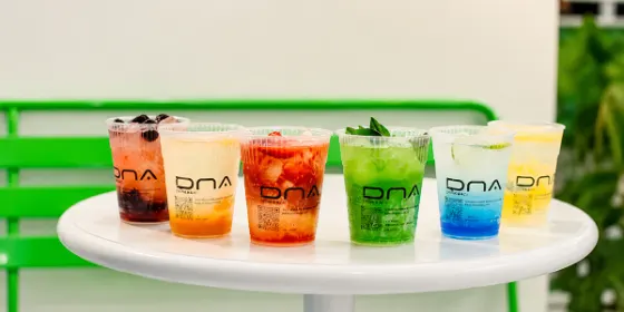 کافه دی ان ای (DNA CAFE) — عکس 12