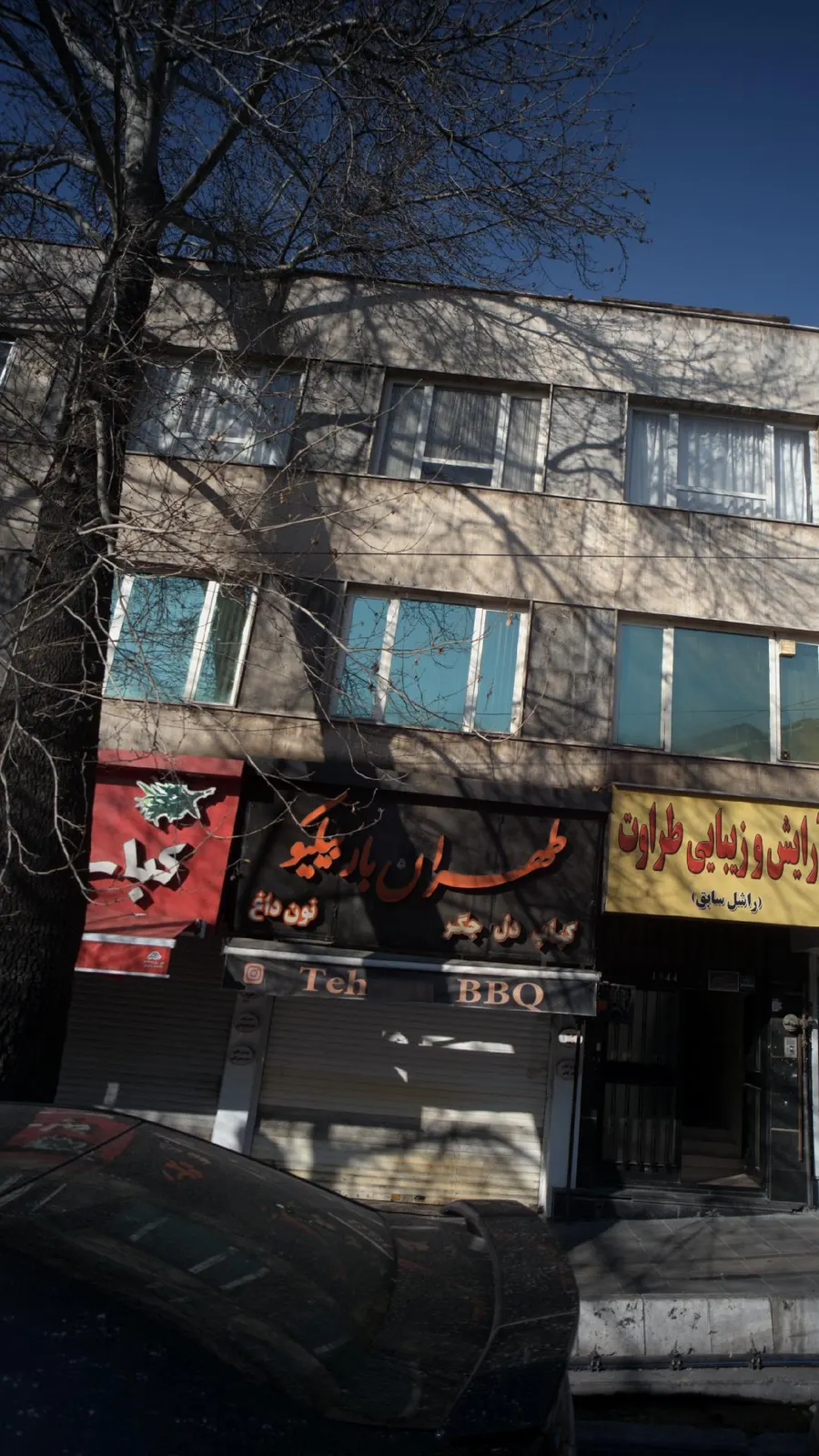 تهران باربیکیو — عکس 3