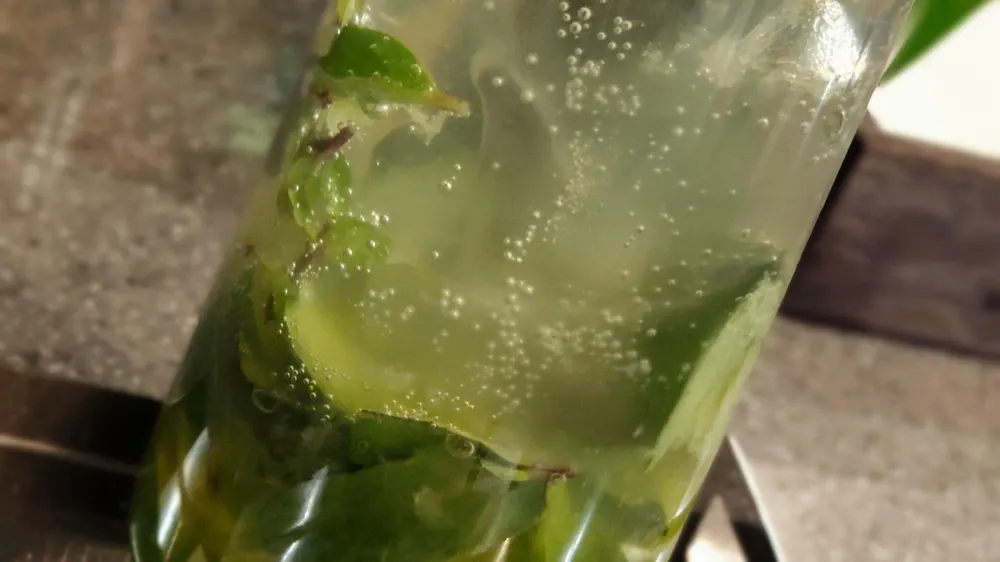 کافه رستوران کاکتوس — عکس 7