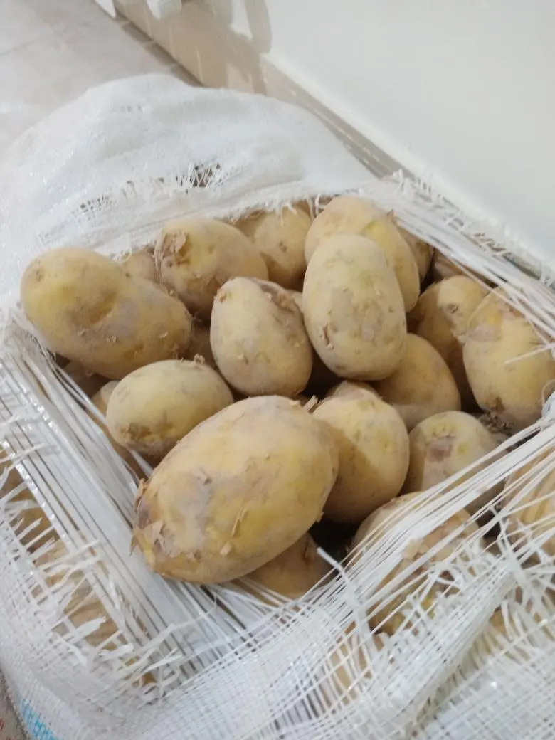 رستوران بزرگ گلها(اصل) — عکس 8