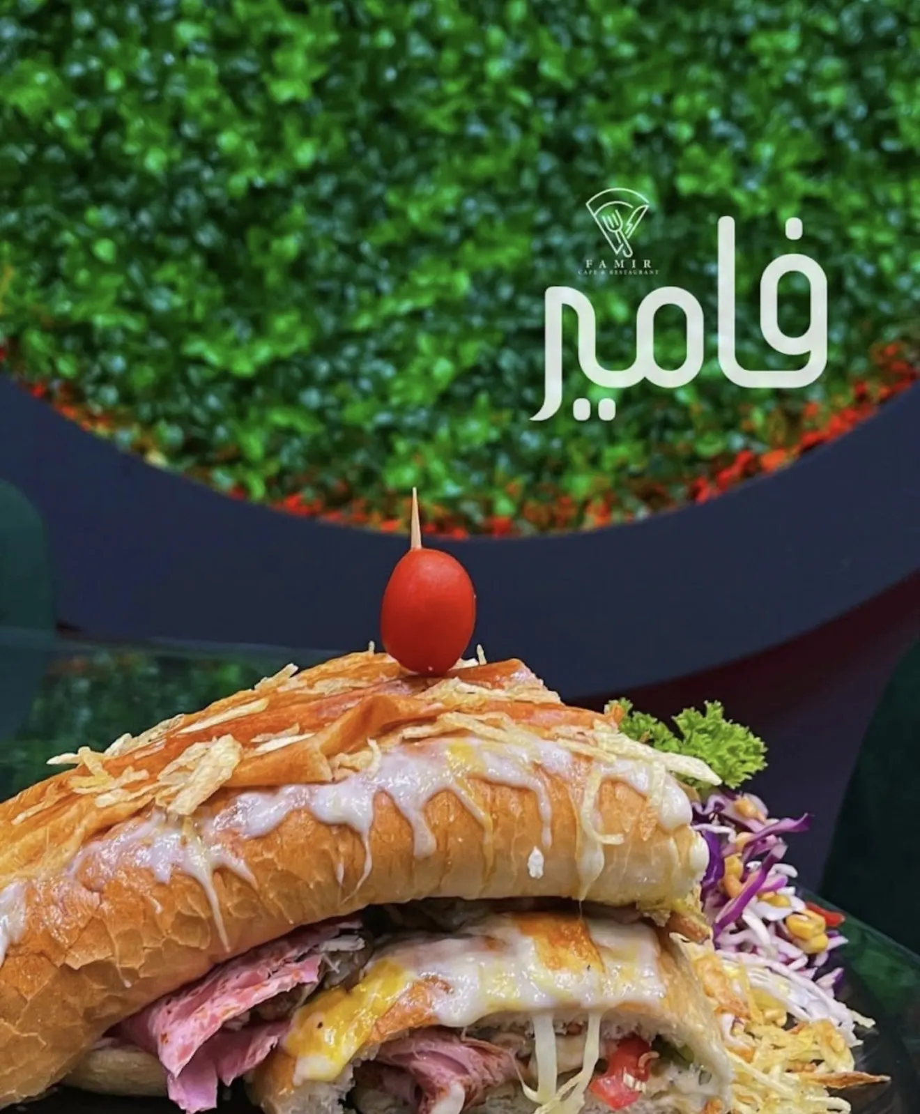 فست فود فامیر — عکس 7