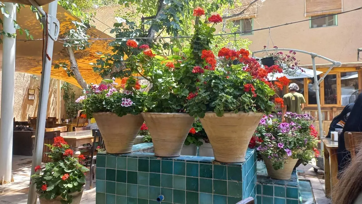 رستوران نمکدان — عکس 7