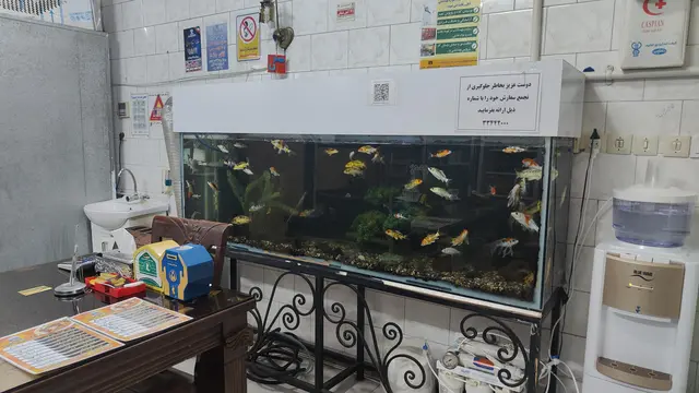 کباب سرای قایم